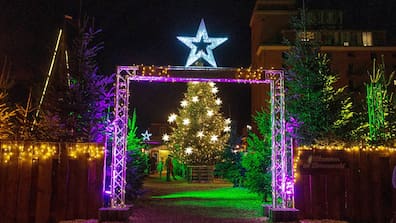 Der „Sternenwald“ am Wismarer Hafen ist auch 2024 wieder geöffnet.