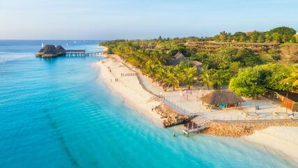 Ein Sandstrand mit grünen Palmen auf Sansibar.