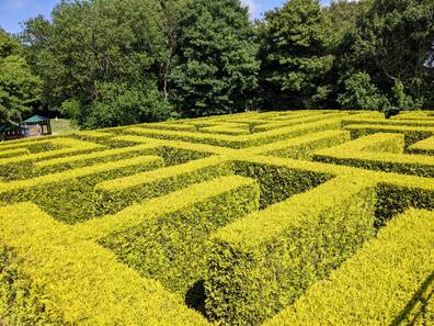 Blick auf einen Heckenirrgarten.