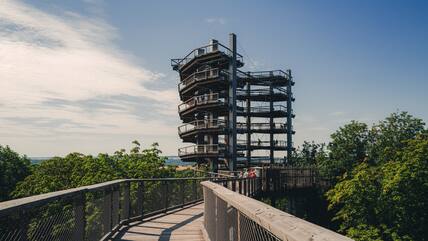 Blick auf den Aussichtsturm des Baumwipfelpfades Saarschleife.